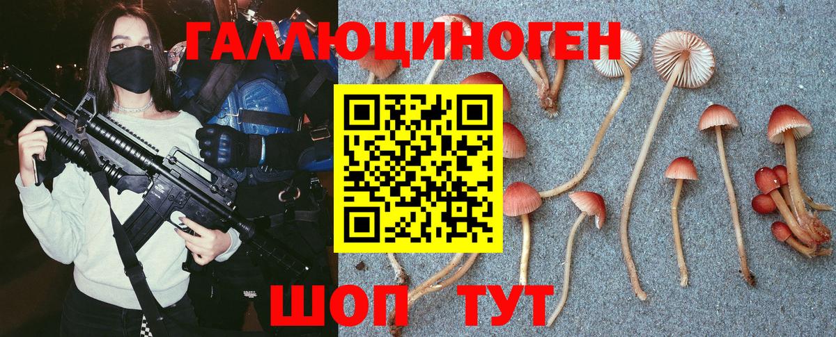 Галлюциногенные грибы MAGIC MUSHROOMS Видное